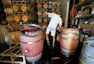 Illustration for article titled Geology of the Napa Valley Earthquake